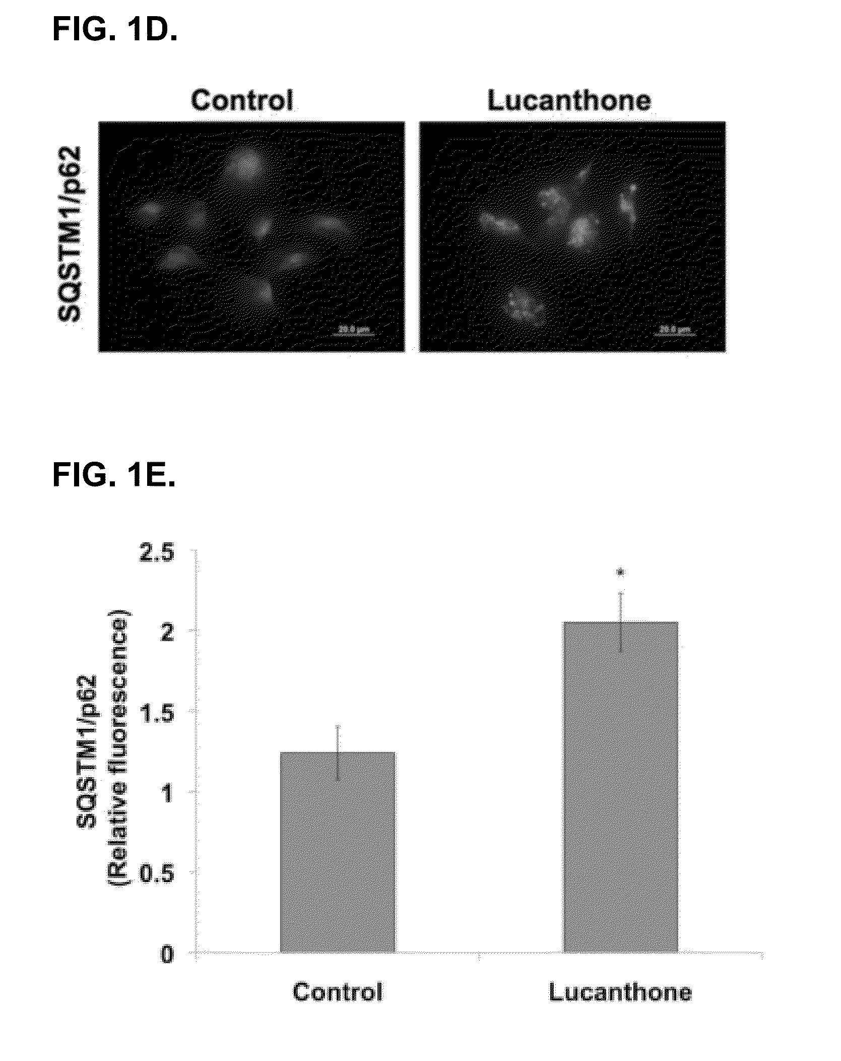 Thioxanthone-based autophagy inhibitor therapies to treat cancer