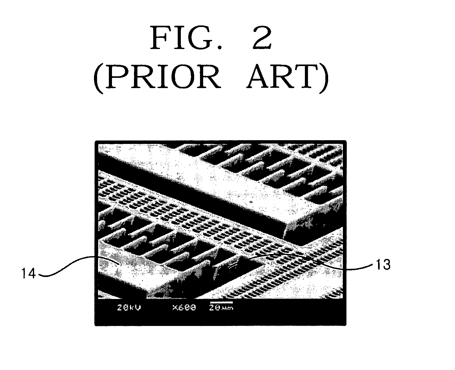 Digital angular velocity detection device