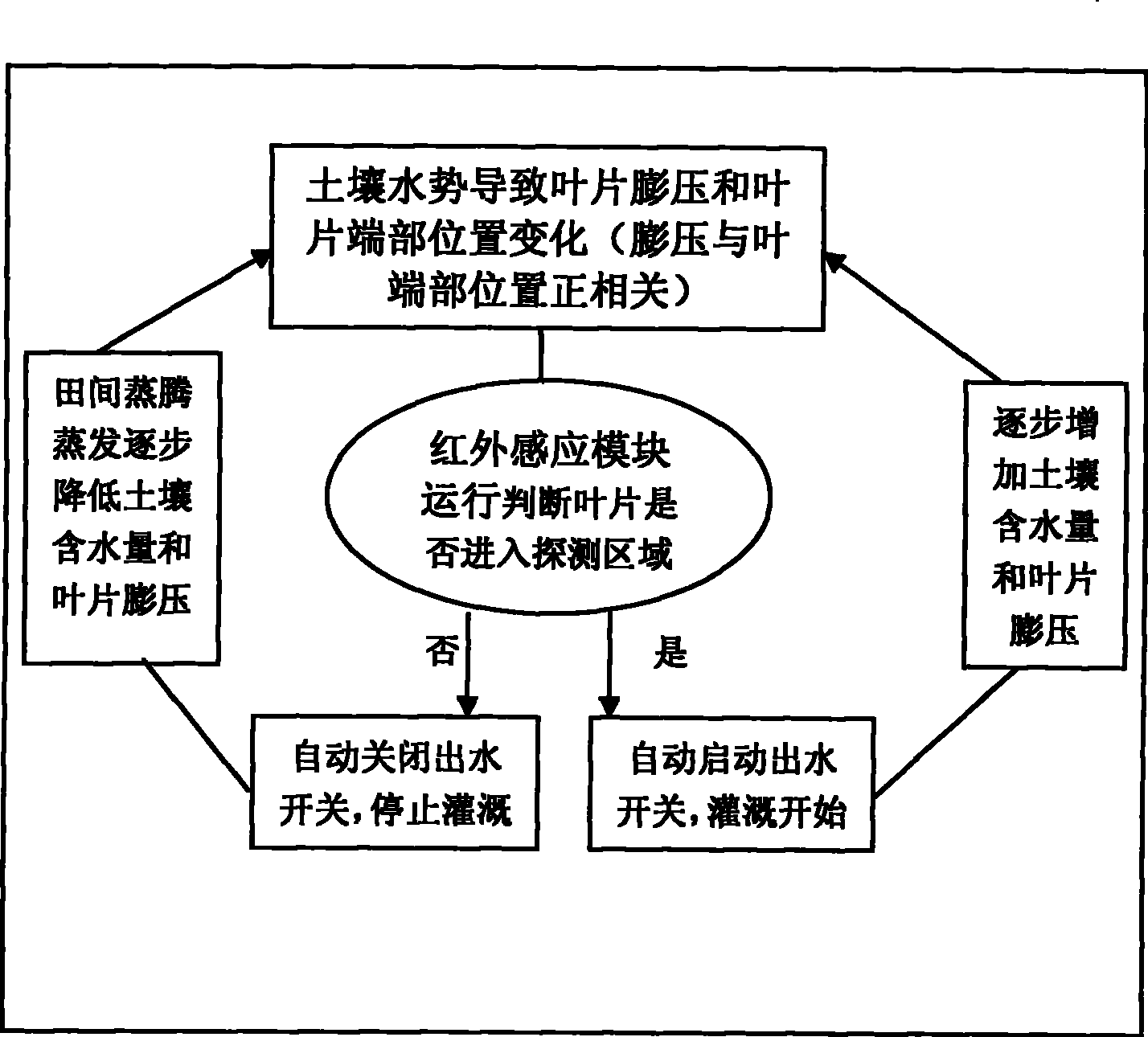 Automatic control method for water-saving irrigation by inducing turgor pressure of plant leaf