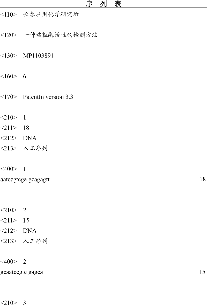 A kind of detection method of telomerase activity