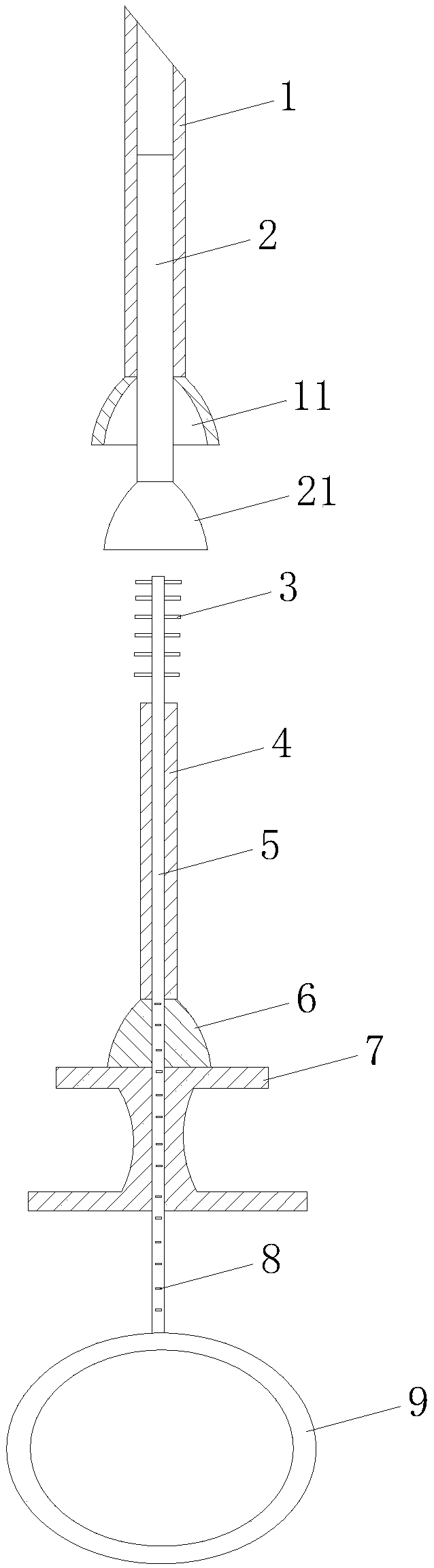 Cell brush used for pleural brushing inspection and using method thereof