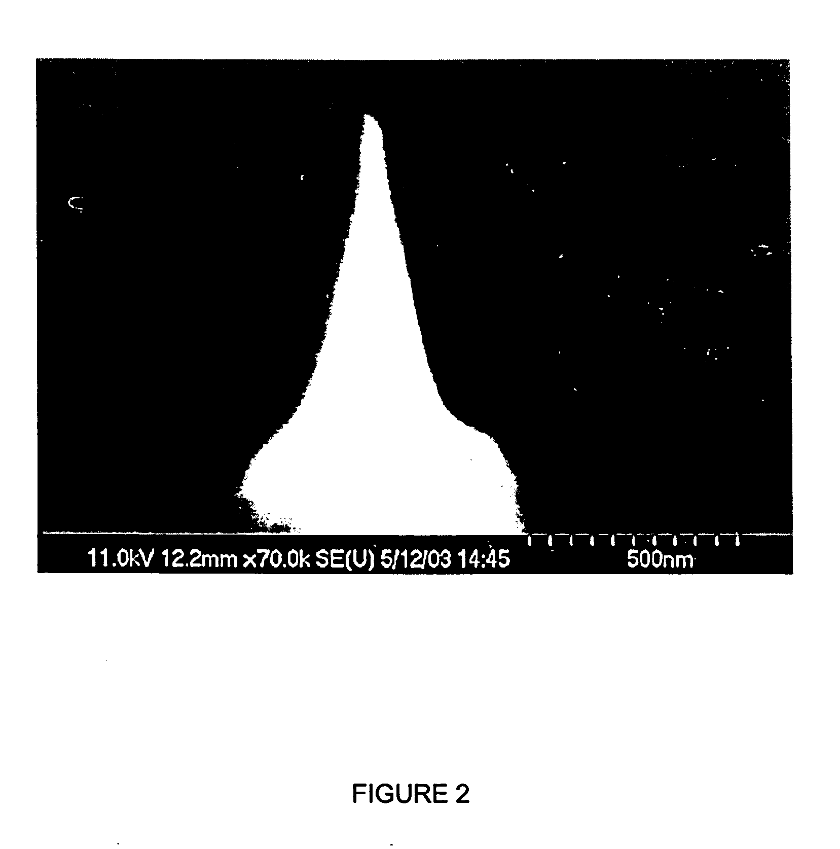 Method and system for the prediction of cardiac arrhythmias, myocardial ischemia, and other diseased condition of the heart associated with elevated sympathetic neural discharges