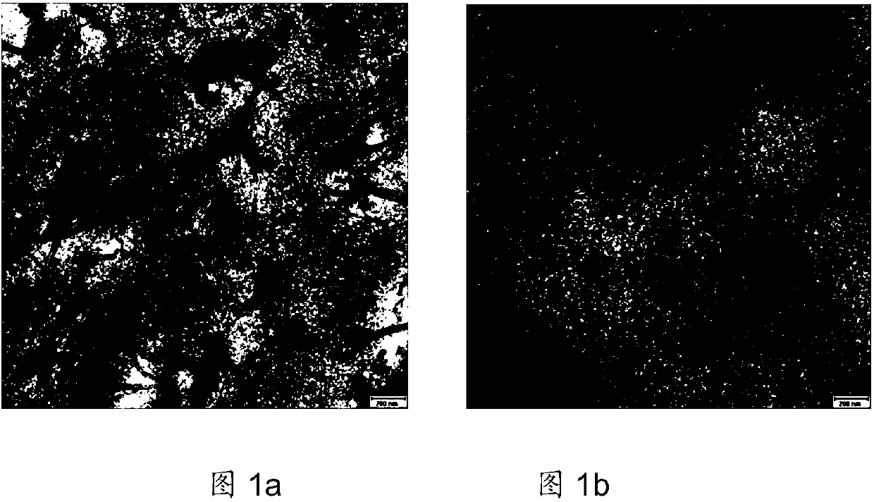 A kind of preparation method of antioxidant modified carbon nanotube/hydrogenated nitrile rubber