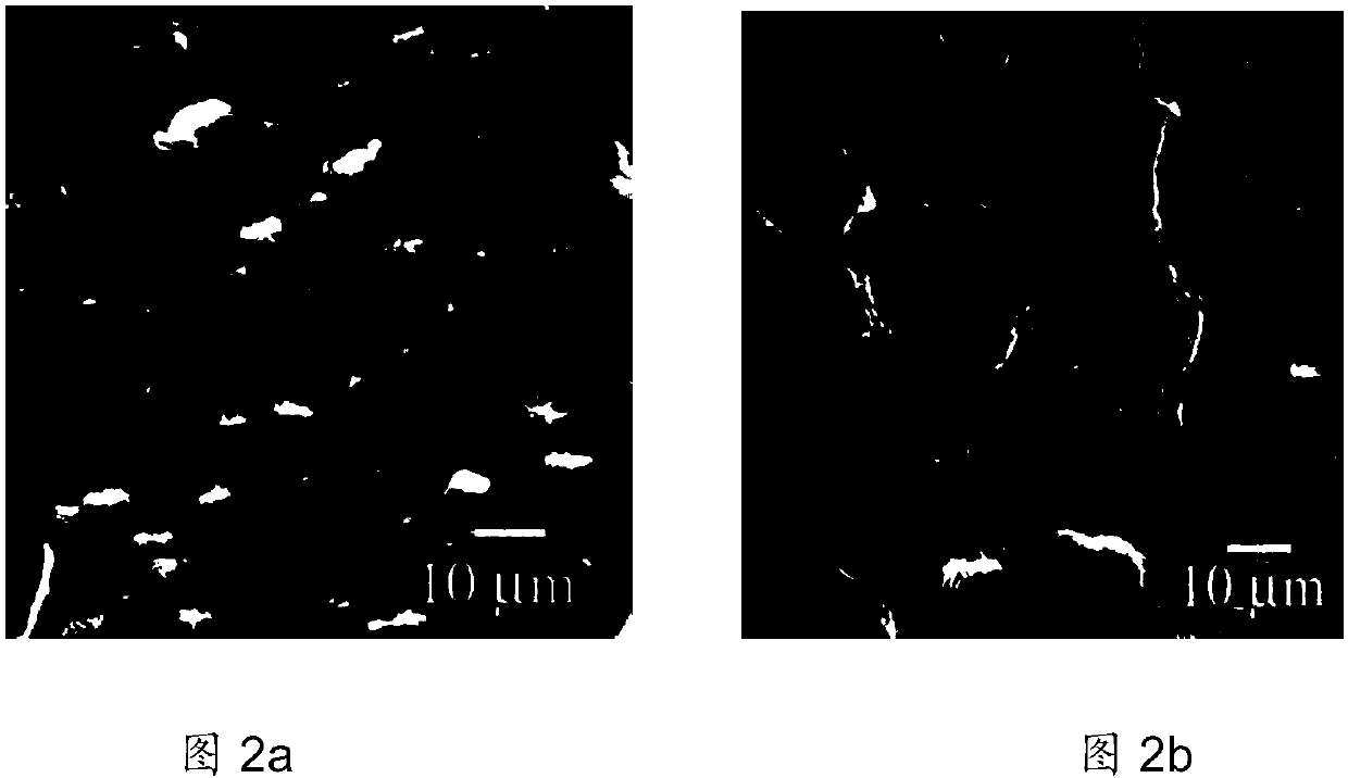 A kind of preparation method of antioxidant modified carbon nanotube/hydrogenated nitrile rubber