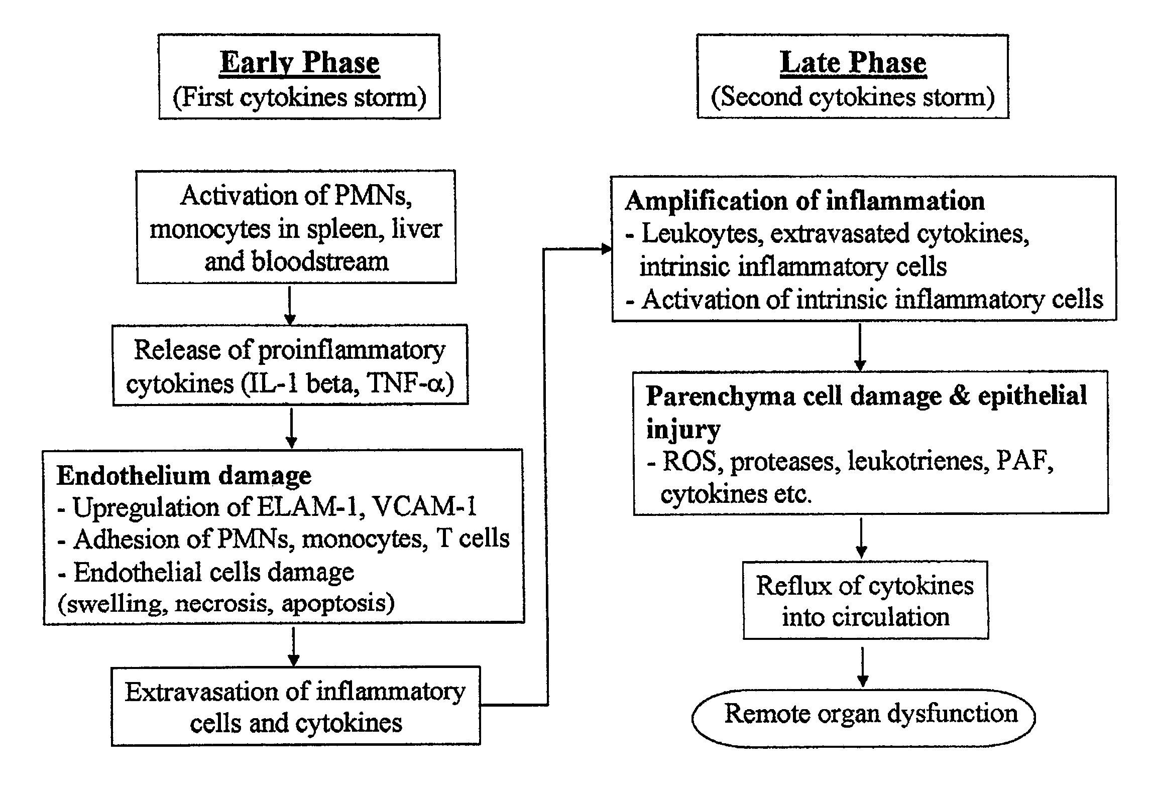 Protective effect of thymoquinone in sepsis