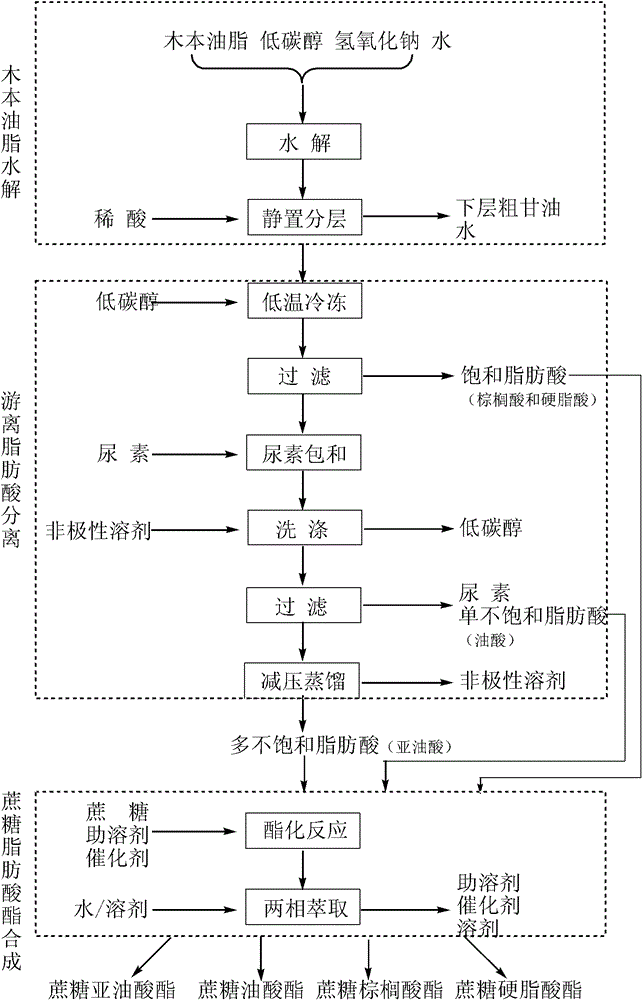 Method for preparing high-grade sucrose fatty acid ester from woody oil