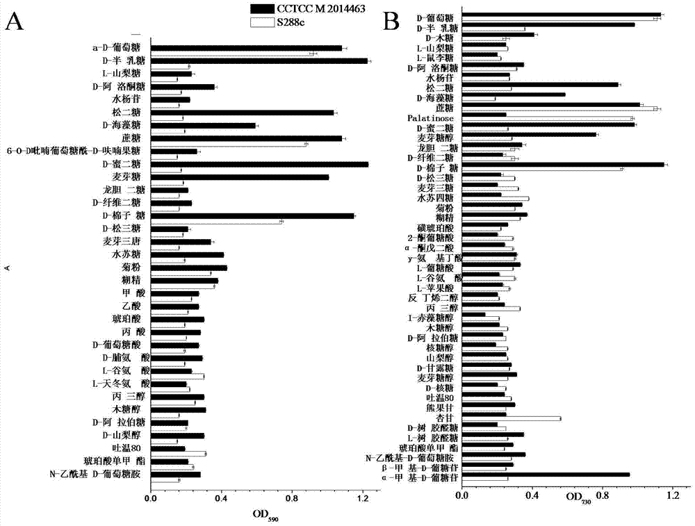 A strain of Saccharomyces cerevisiae capable of co-fermentation with multiple carbon sources and its application