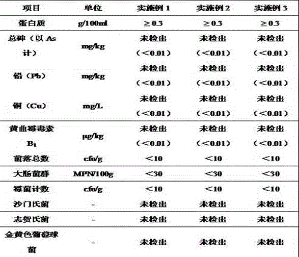 Lactic acid bacterium crushed fruit ice flavor beverage and preparation method thereof