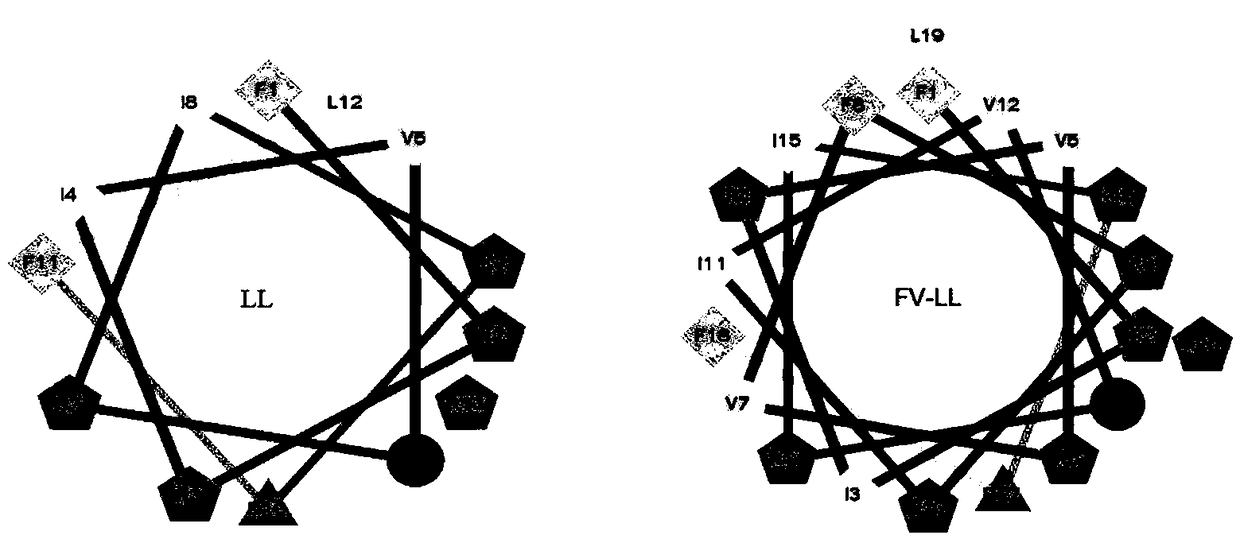 Hybrid antibacterial peptide based on fv7 anti-biofilm and its preparation method and application