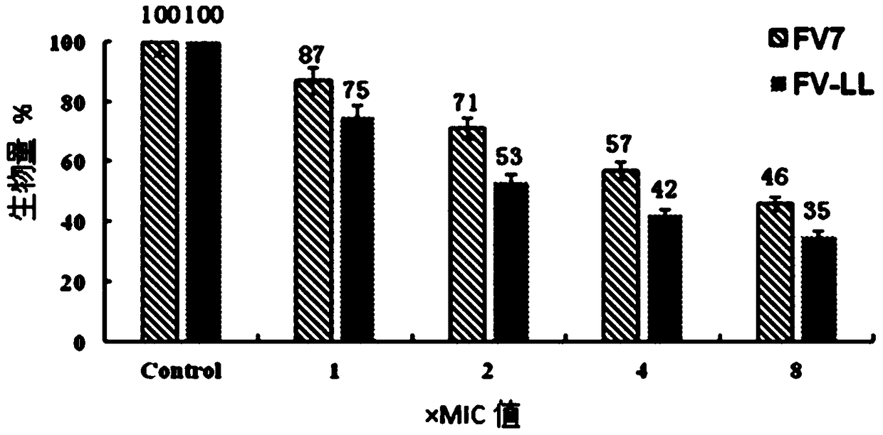 Hybrid antibacterial peptide based on fv7 anti-biofilm and its preparation method and application