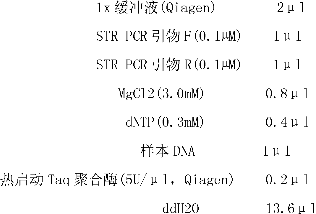 Application of Y-STR (Y chromosome-short tandem repeat)