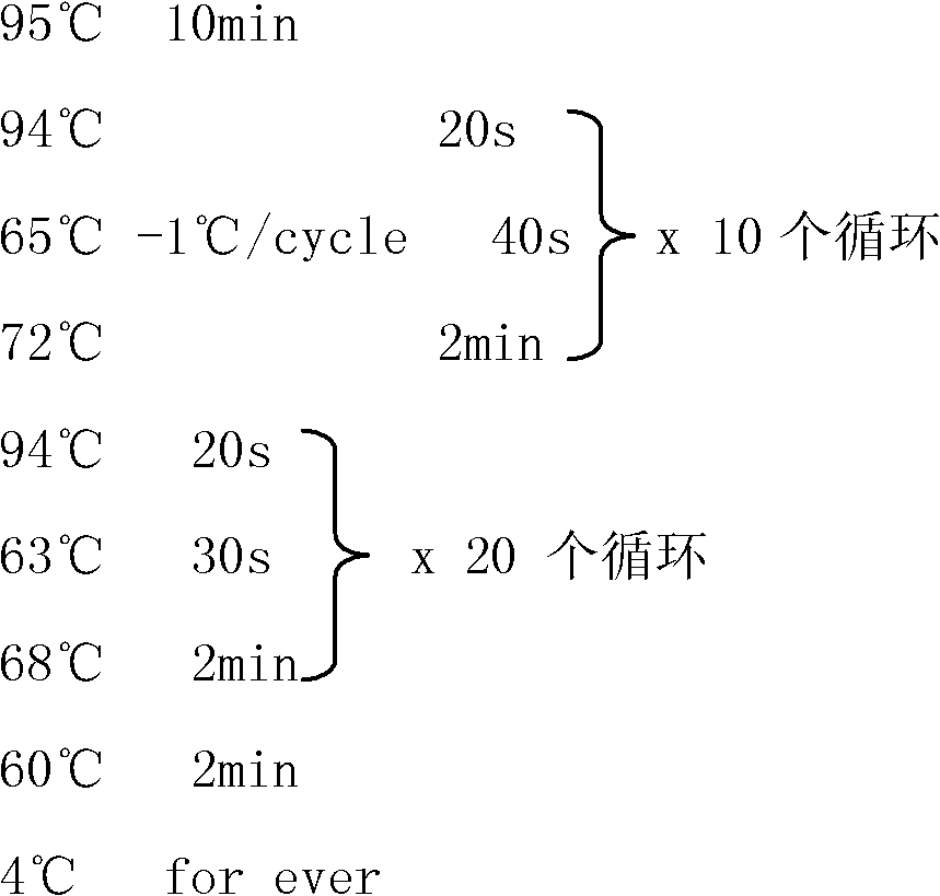 Application of Y-STR (Y chromosome-short tandem repeat)