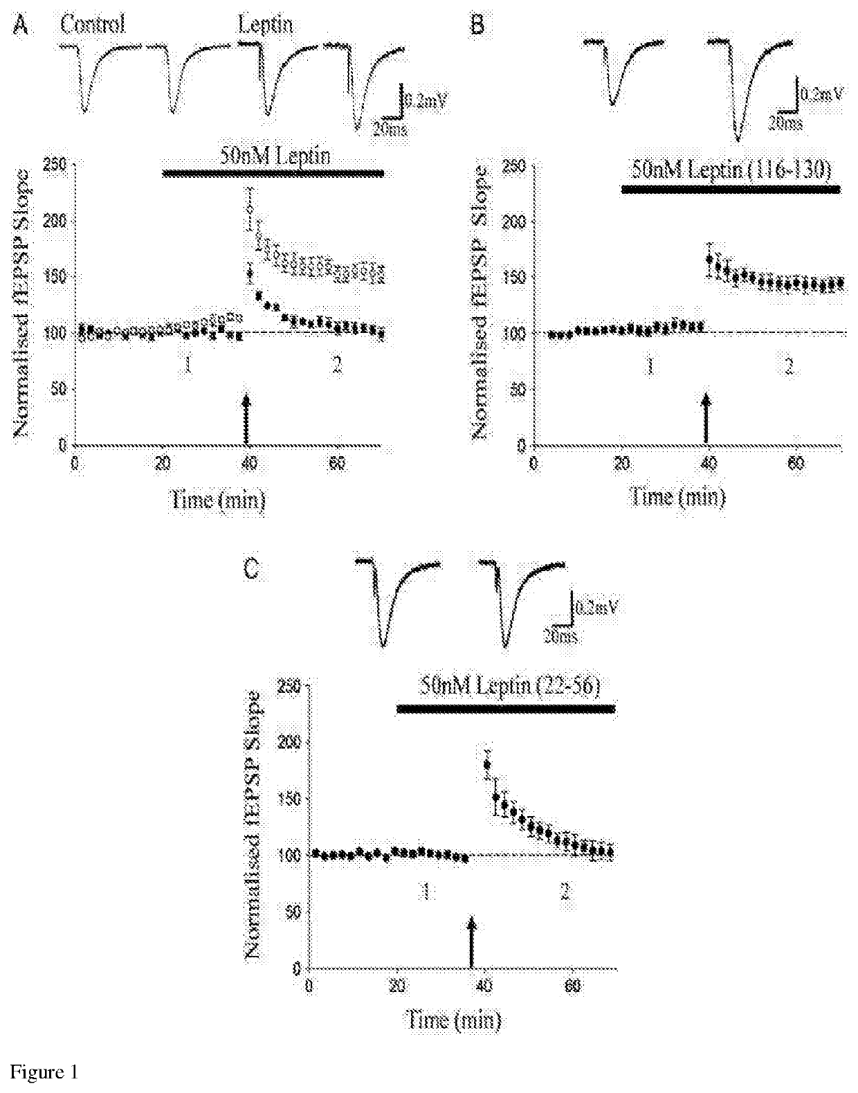 Leptin peptides and their use for treating neurological disorders