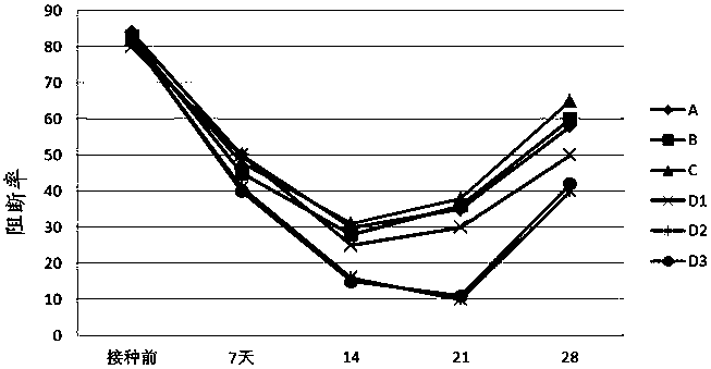 Swine fever live vaccine compound preparation and preparation method thereof