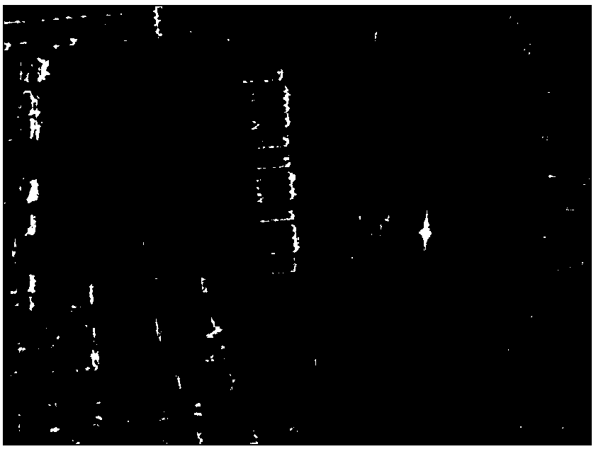 SAR image segmentation method based on structure learning and sketch characteristic inference network