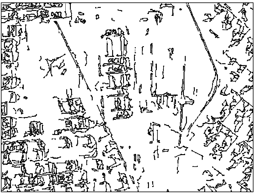 SAR image segmentation method based on structure learning and sketch characteristic inference network