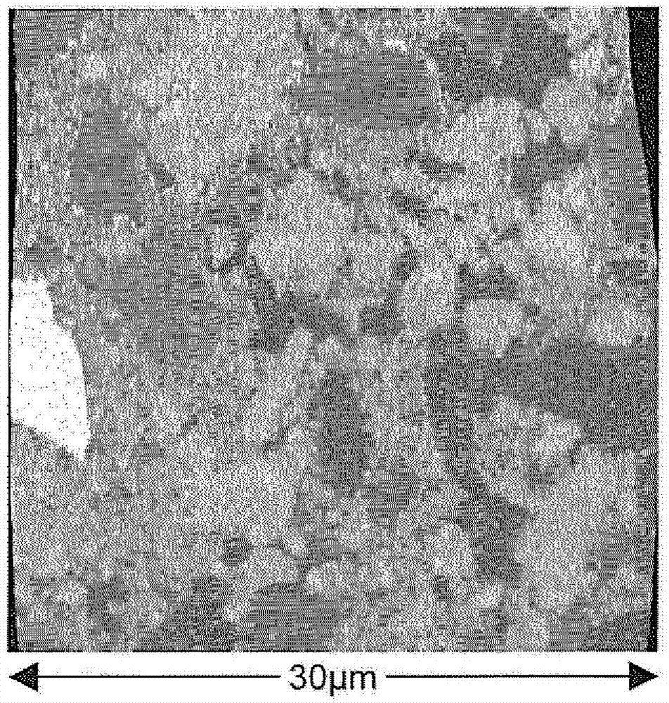 Exhaust gas purifying catalyst