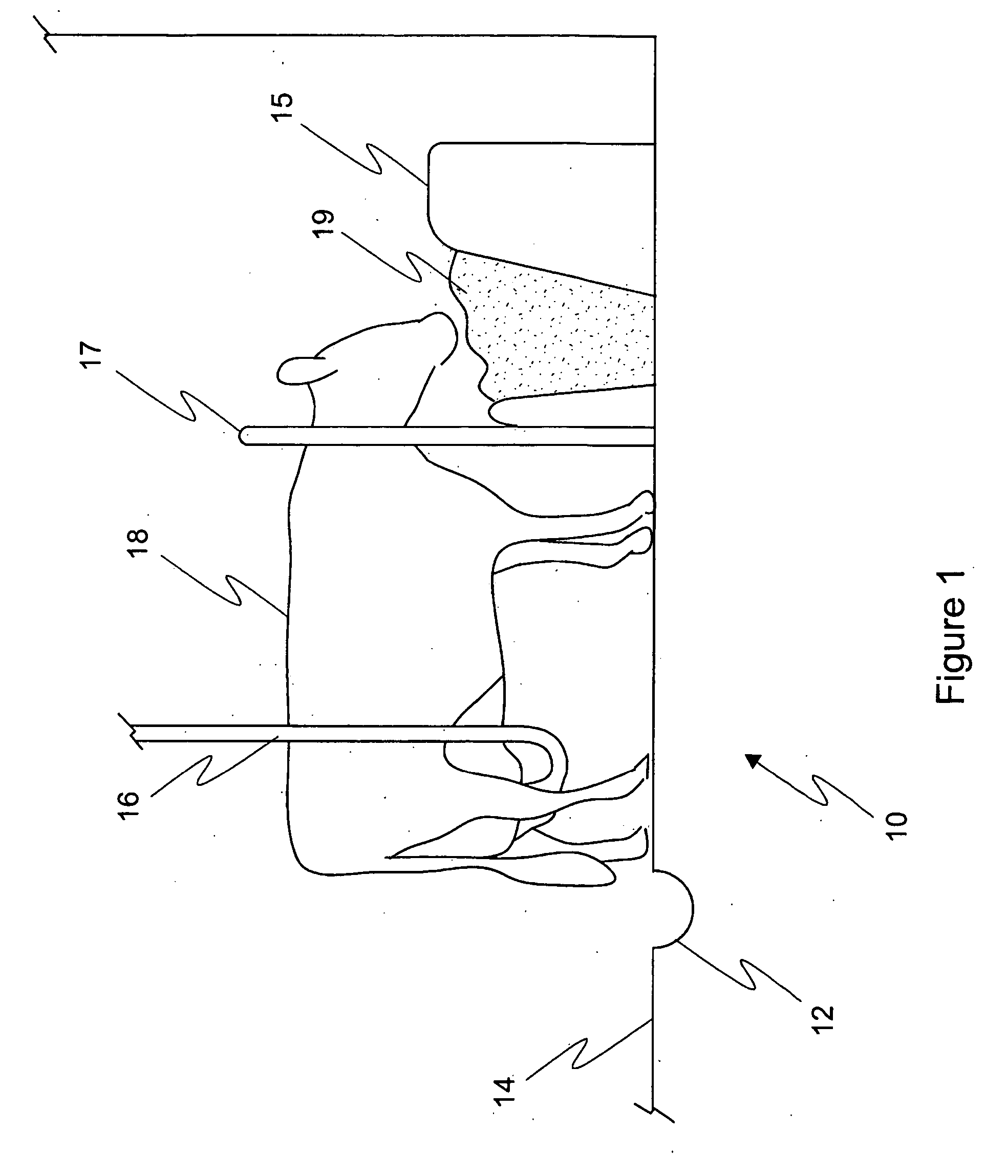 Biological composition for processing animal waste