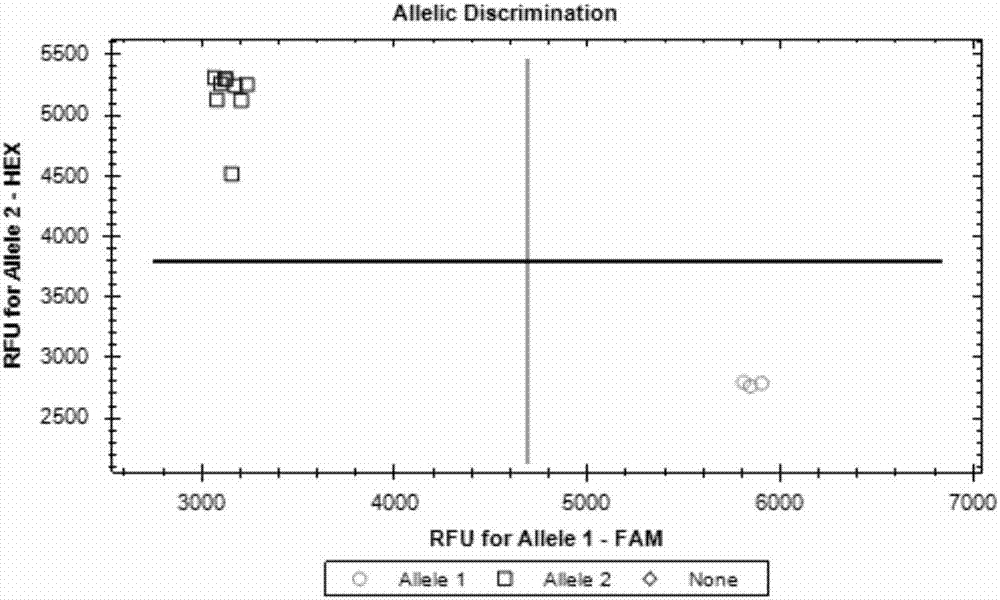 Paddy rice yield genotyping primer set based on KASP technology and use thereof