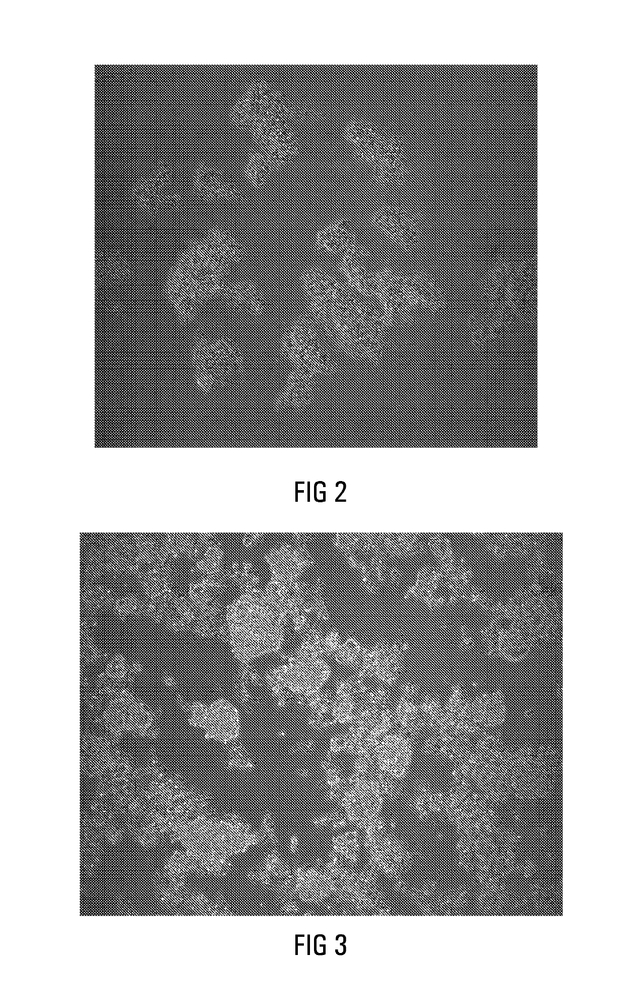 Production of biomass for use in the treatment of Fischer-Tropsch reaction water