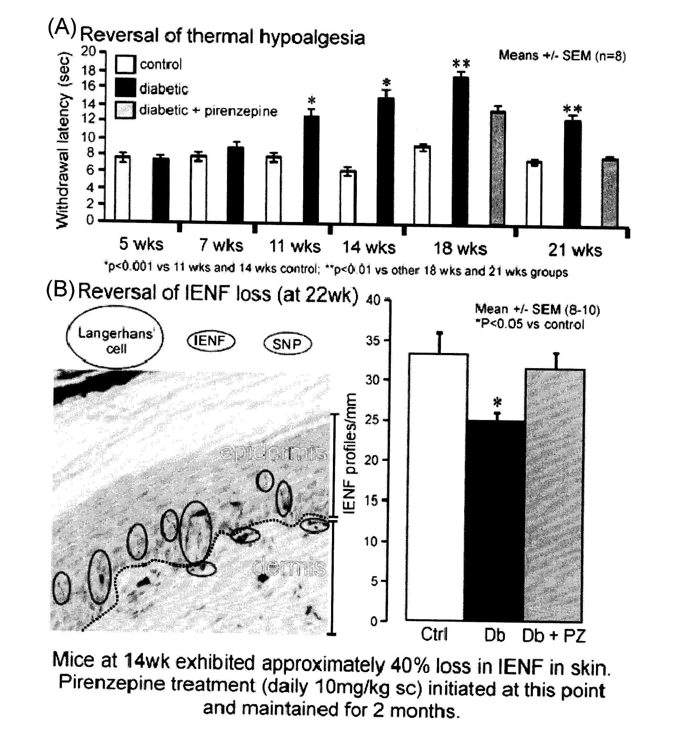 Therapeutic compositions for diabetic symmetrical polyneuropathy