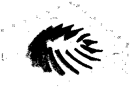 Klingelnberg bevel gear contact regulating method