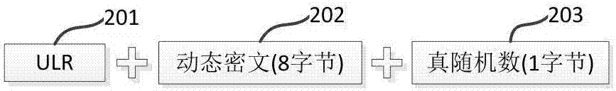 Anti-counterfeiting system and method with dynamic anti-counterfeiting information