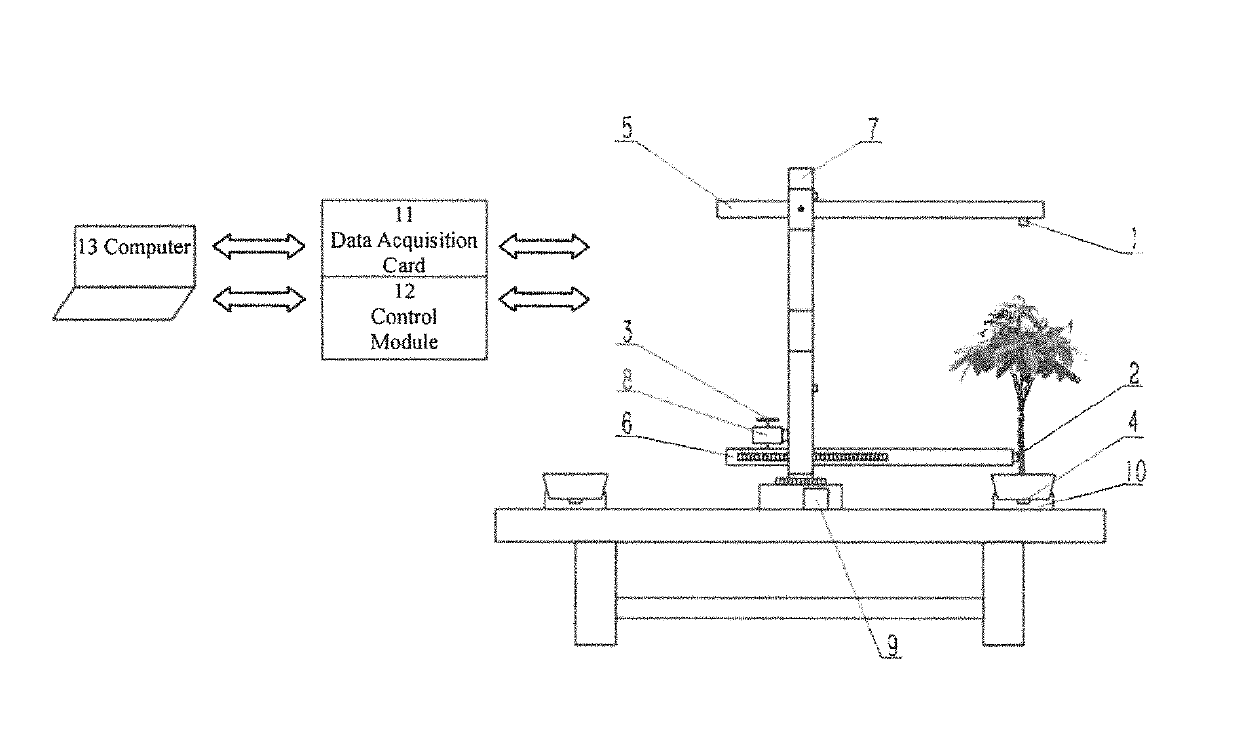 Dynamic detection device for growth of potted crop and detection method therefor