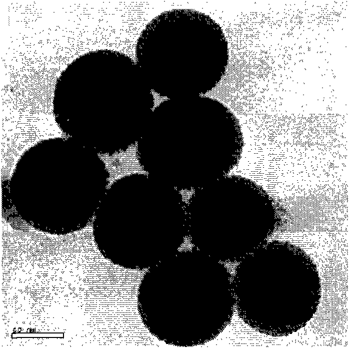 Silica-coated fluorescent magnetic nanoparticle, preparation method and application