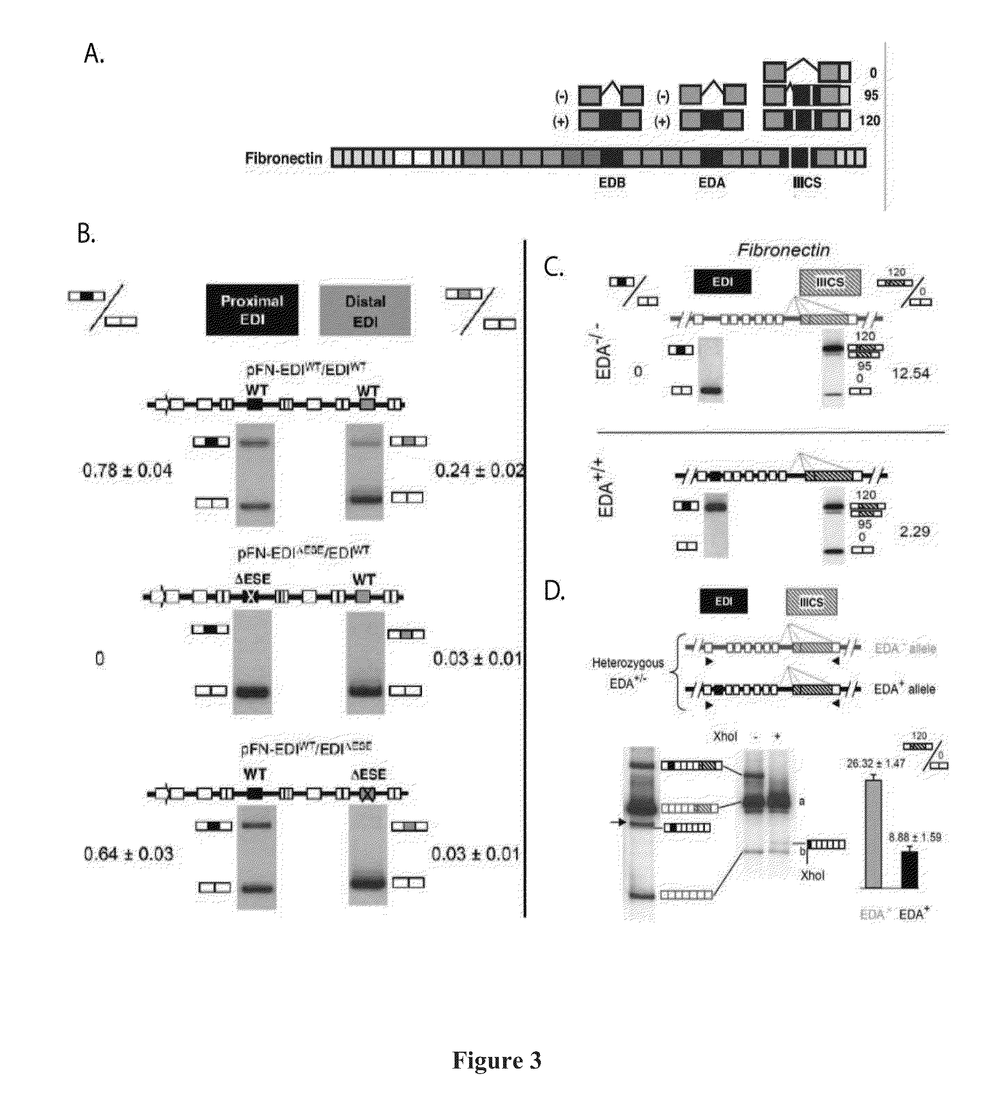 Deducing Exon Connectivity by RNA-Templated DNA Ligation/Sequencing