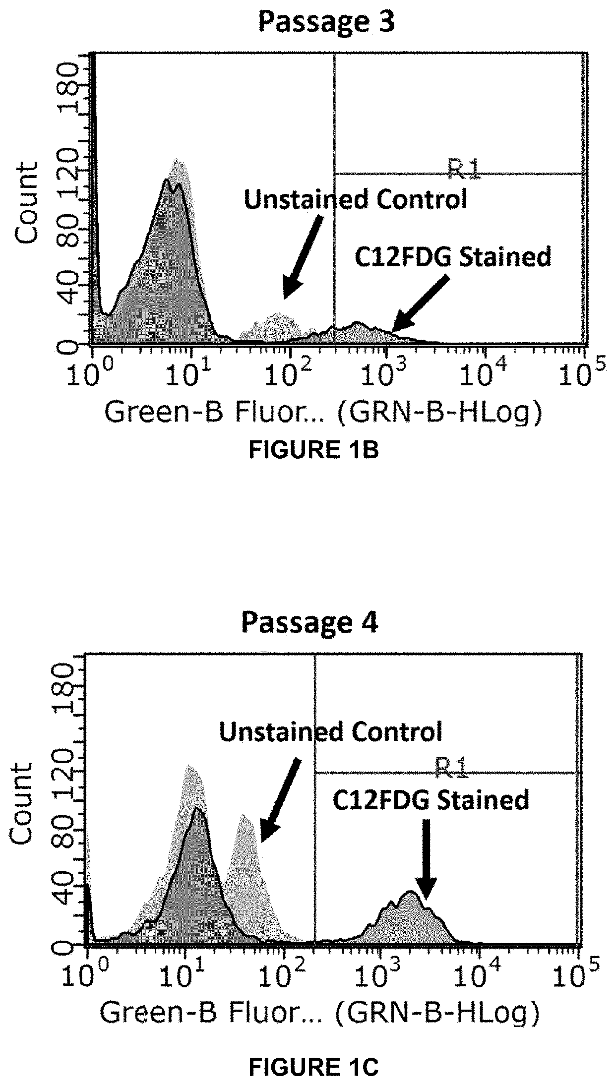 Methods for treating disease associated with senescence