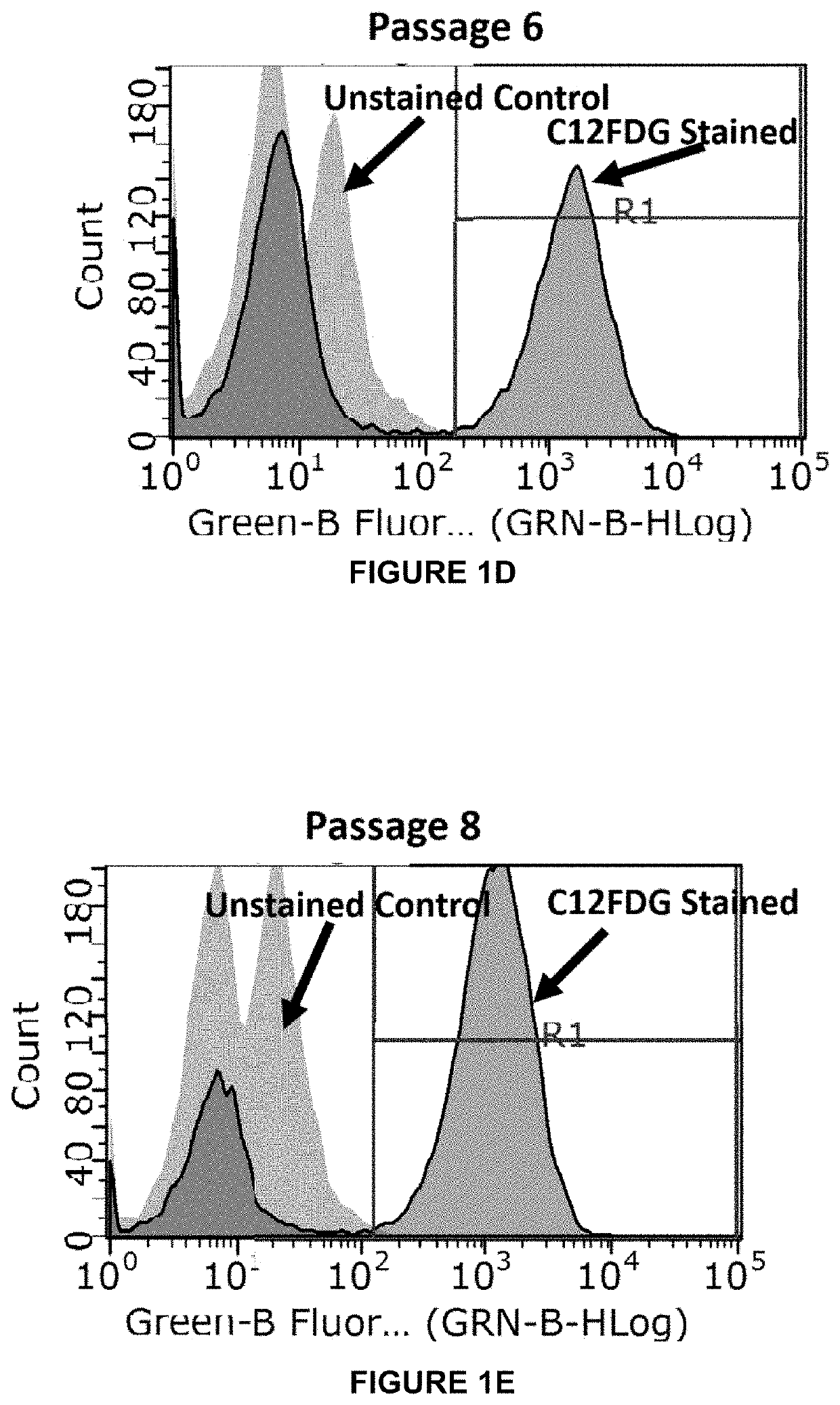 Methods for treating disease associated with senescence