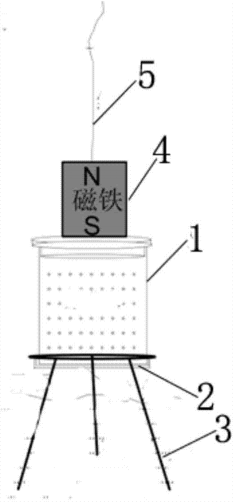 Magnetospirillum magneticum as well as preparation method and application thereof