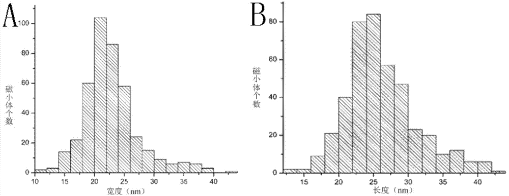 Magnetospirillum magneticum as well as preparation method and application thereof