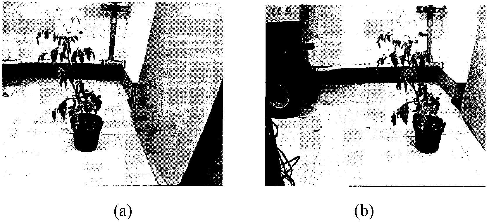 Crop spraying positioning method based on binocular vision gridding partition matching algorithm