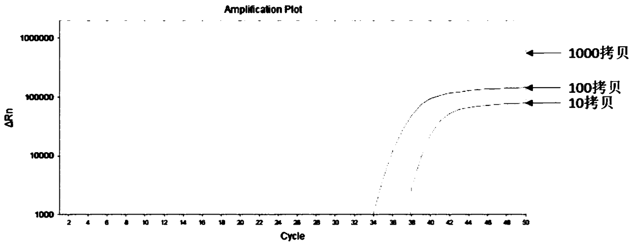 Primer and probe set for diagnosis, detection or screening of digestive tract cancer