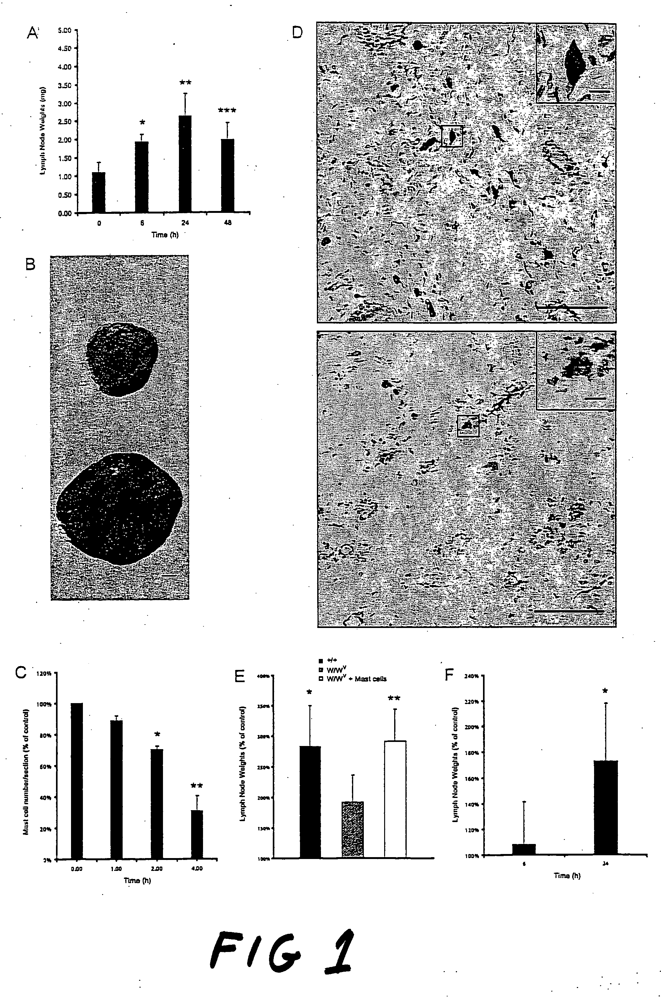 Novel adjuvant capable of specifically activating the adaptive immune response