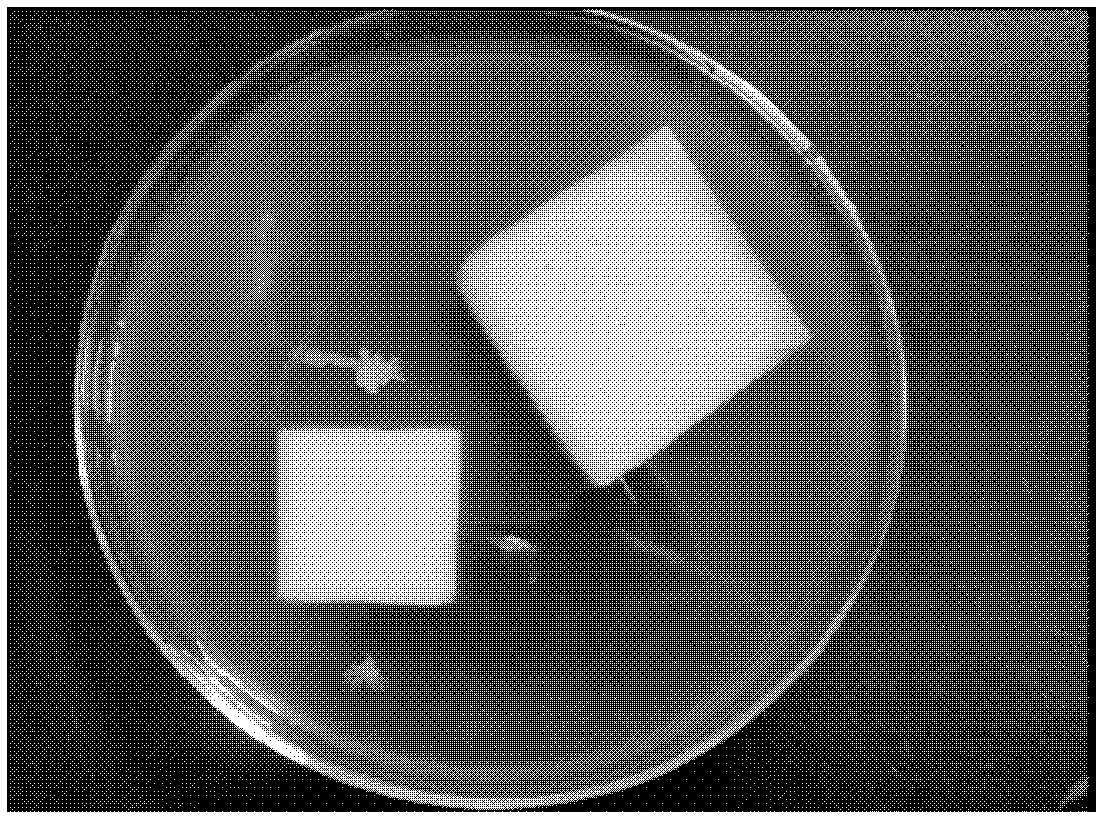 Slurry and ceramic for high-strength anti-bacterial ceramic, and preparation methods thereof