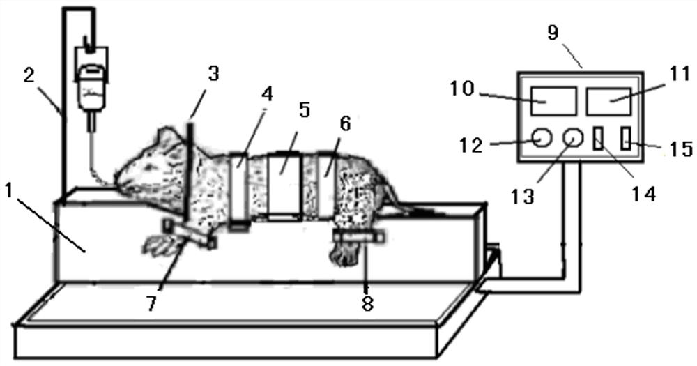 A silica gel low temperature modeling animal experiment device