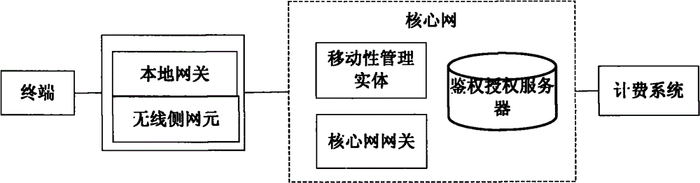 Methods and system for acquiring charging information of local internet protocol (IP) access