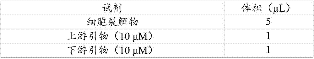 Targeted sgRNA for editing pig APN gene and modified carrier as well as preparation method and application thereof