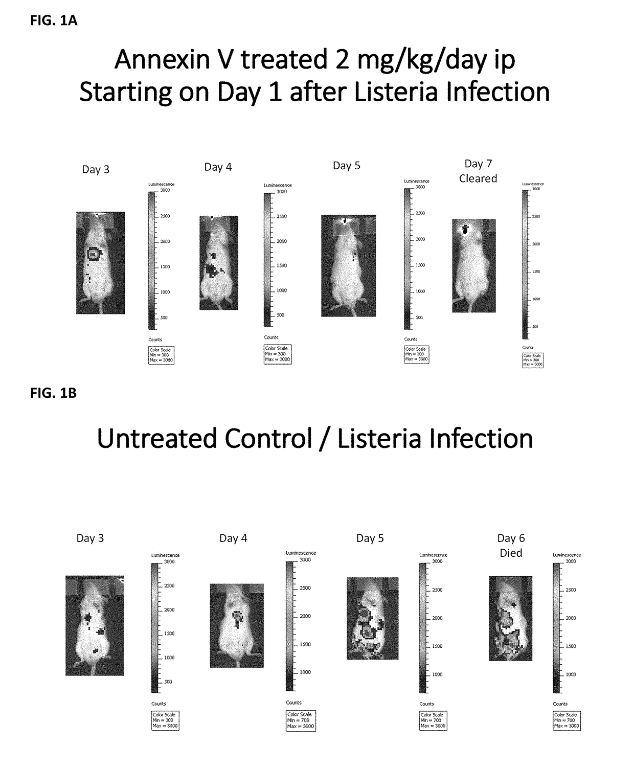 Use of annexin v to reduce the spread of intracellular pathogens