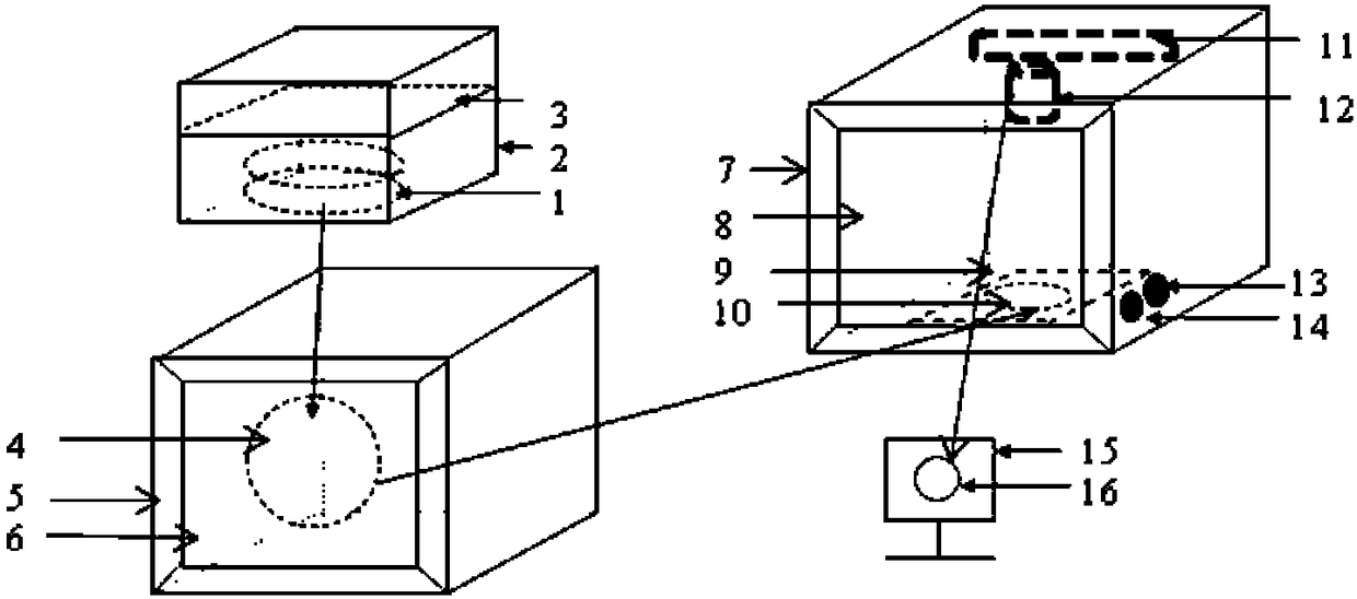 Equipment and method for determining field rhizosphere soil in-situ zymogram