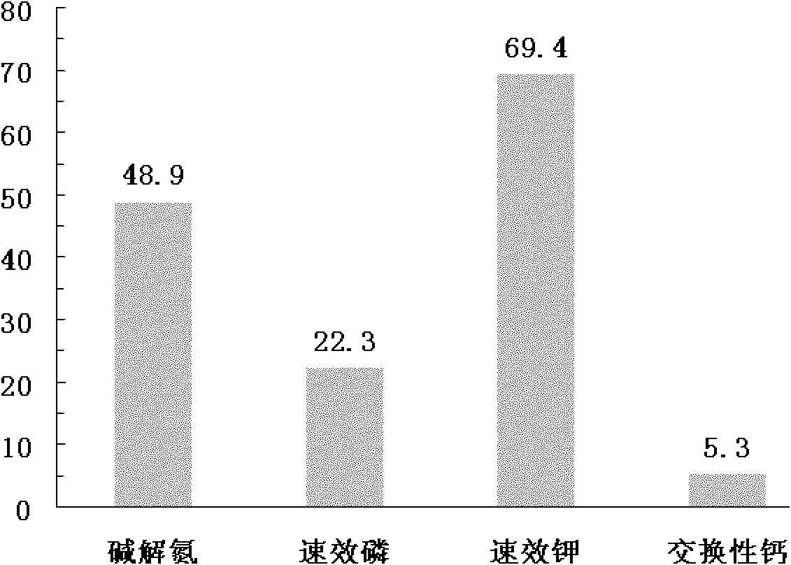 Disease-preventing type special controlled-release fertilizer for Shandong peanuts as well as preparation method and application thereof