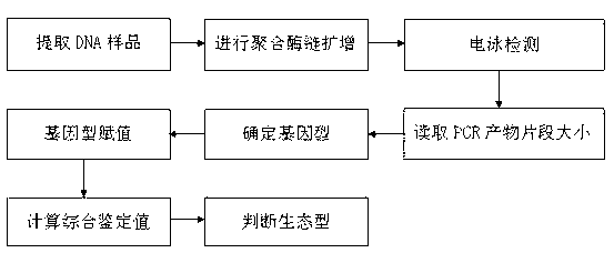 Method for identifying rice and dry rice