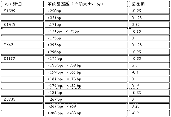 Method for identifying rice and dry rice