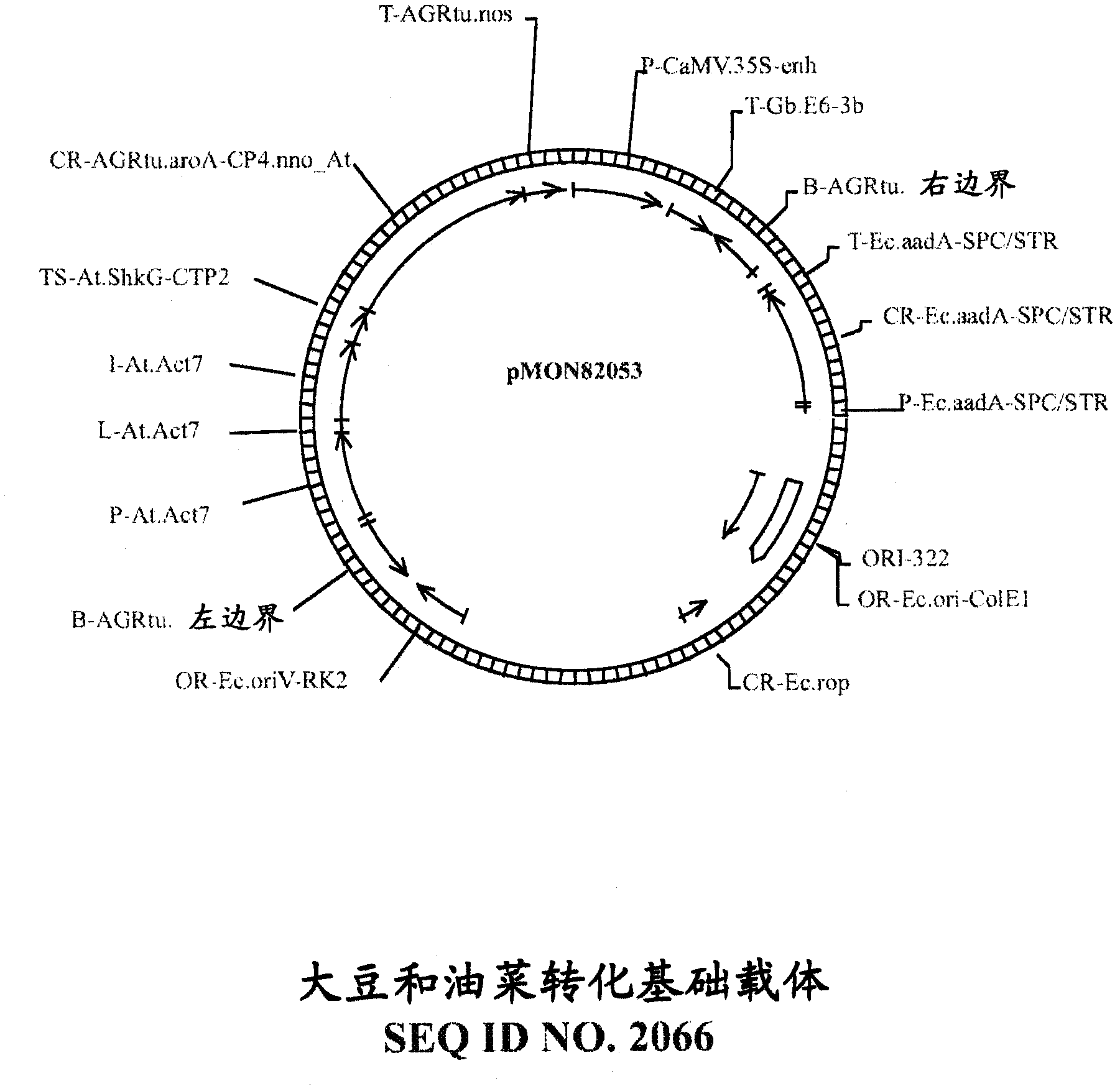 Recombinant DNA constructs and methods for modulating expression of a target gene