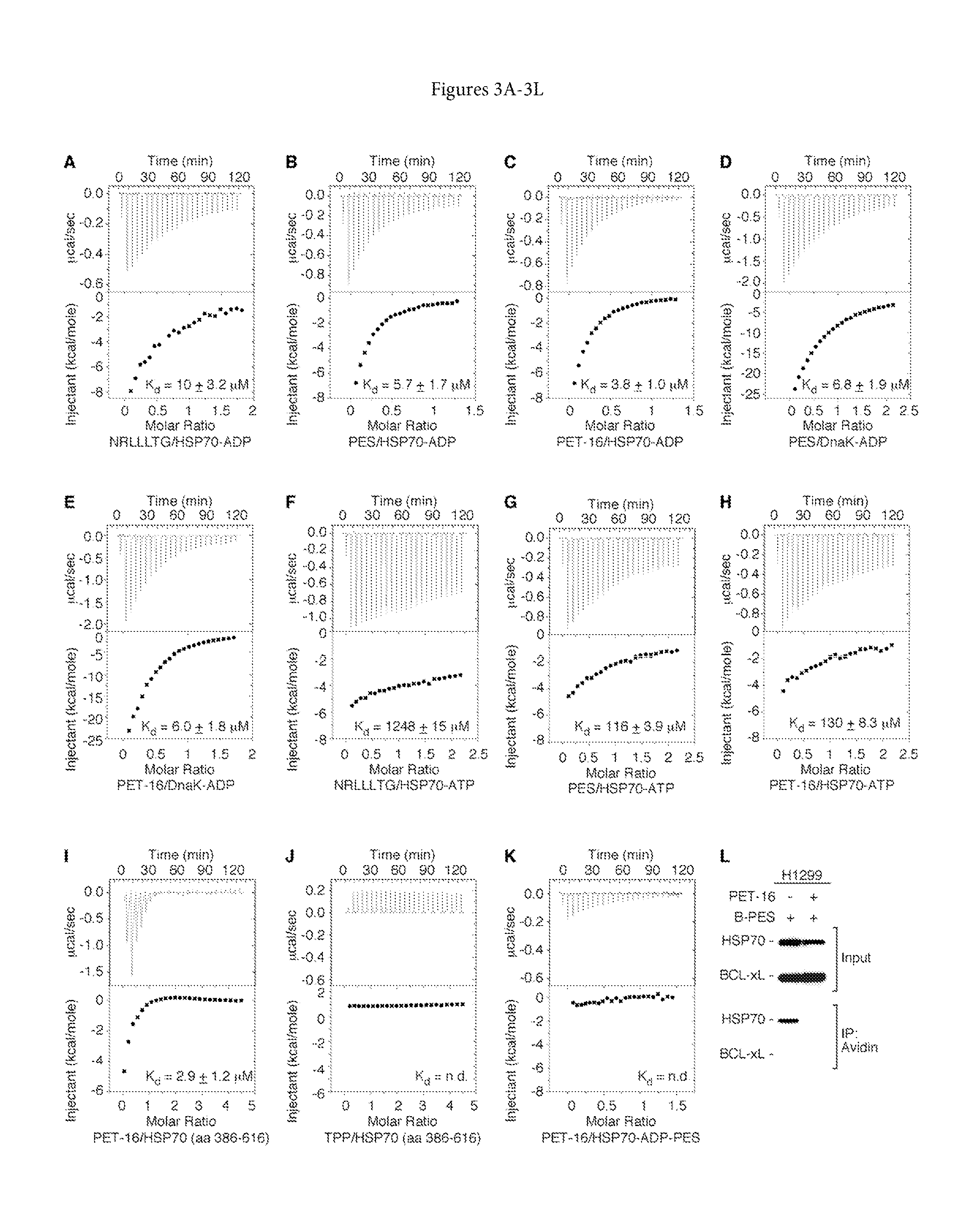 Small Molecule HSP70 Inhibitors