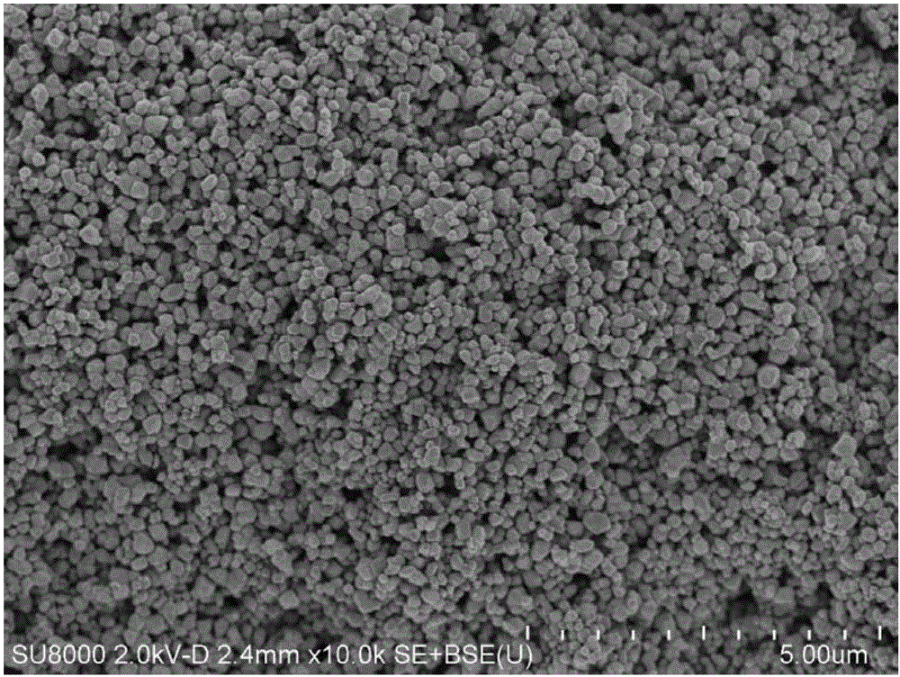 Nickel oxide powder and preparation method thereof