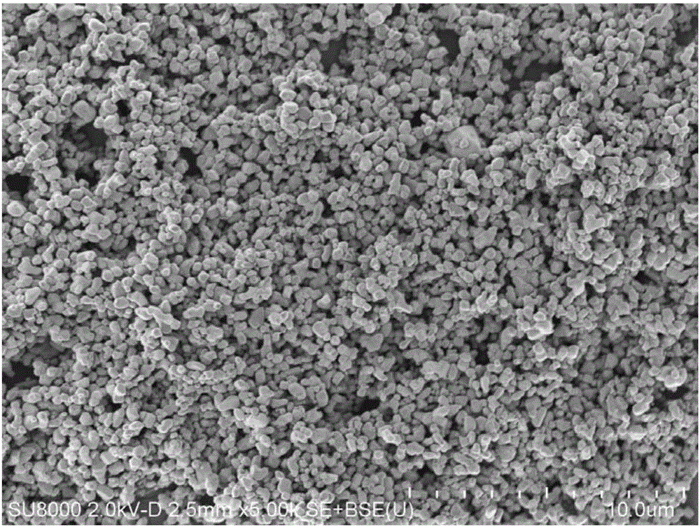 Nickel oxide powder and preparation method thereof